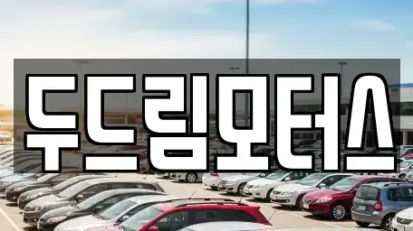 광주광역시 서구 서창동 중고차 전문 두드림모터스