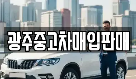 광주광역시 서구 서창동 중고차매입 전문 광주중고차매입판매