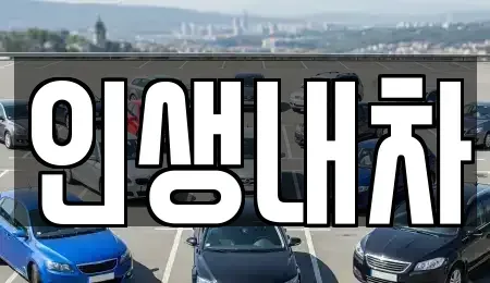 대구 동구 동내동 중고차매매 전문 인생내차