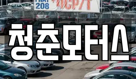 대구 동구 동내동 중고차매매,단기렌트카,중고차매입,장기렌트카,중고차,렌트카
