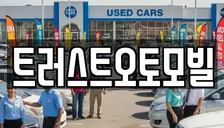대구 동구 동내동 중고차매매 전문 트러스트오토모빌