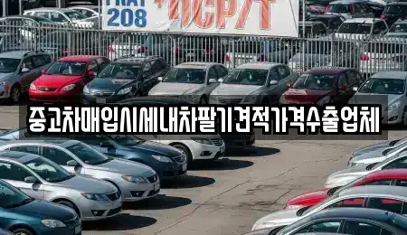 대구 동구 동내동 중고차매입 전문 중고차매입시세내차팔기견적가격수출업체