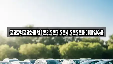 대구 동구 동내동 중고차매입 전문 중고트럭중고화물차1톤2.5톤3.5톤4.5톤5톤매매매입수출