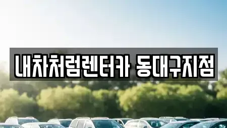 대구 동구 신암동 렌트카 전문 내차처럼렌터카 동대구지점