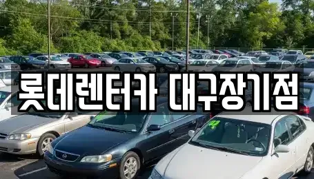 대구 동구 신암동 장기렌트카 전문 롯데렌터카 대구장기점