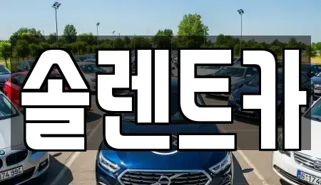 대구 동구 신암동 장기렌트카 전문 솔렌트카