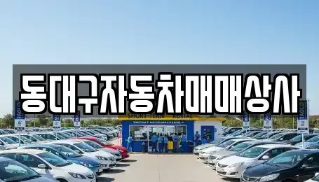 대구 동구 신암동 중고차 전문 동대구자동차매매상사