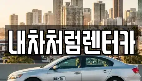 대구광역시 중구 삼덕동1가 렌트카 전문 내차처럼렌터카