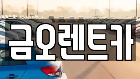 대구광역시 중구 인교동 렌트카 전문 금오렌트카