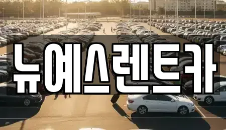 대구광역시 중구 인교동 렌트카,단기렌트카,장기렌트카,중고차,중고차매매,중고차매입