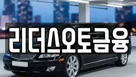 대구광역시 중구 인교동 렌트카 전문 리더스오토금융
