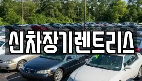 대구광역시 중구 인교동 렌트카 전문 신차장기렌트리스