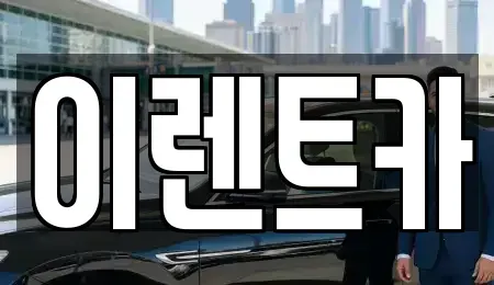 대구광역시 중구 인교동 렌트카 전문 이렌트카