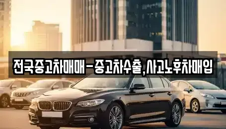 대구광역시 중구 인교동 중고차 전문 전국중고차매매-중고차수출,사고노후차매입