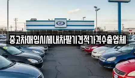 대구광역시 중구 인교동 중고차 전문 중고차매입시세내차팔기견적가격수출업체