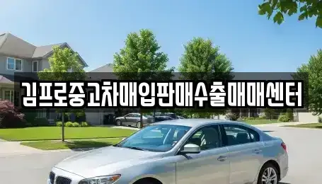 대구광역시 중구 인교동 중고차매입 전문 김프로중고차매입판매수출매매센터