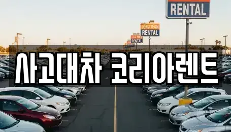 대전 동구 신흥동 단기렌트카 전문 사고대차 코리아렌트