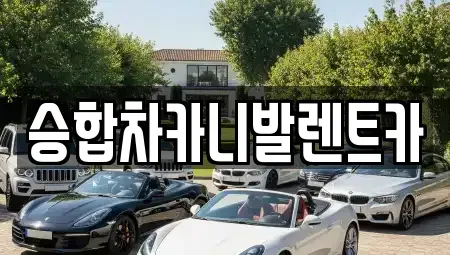 대전 동구 신흥동 렌트카 전문 승합차카니발렌트카