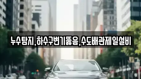 대전 동구 신흥동 중고차 전문 누수탐지,하수구변기뚫음,수도배관제일설비