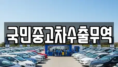 대전 동구 신흥동 중고차매매 전문 국민중고차수출무역