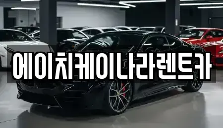 대전 유성구 문지동 렌트카 전문 에이치케이나라렌트카