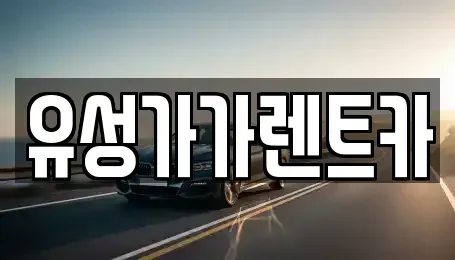 대전 유성구 문지동 렌트카 전문 유성가가렌트카