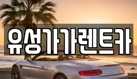 대전 유성구 송강동 렌트카 전문 유성가가렌트카