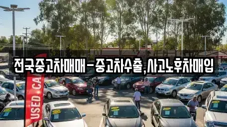 대전 유성구 송강동 중고차 전문 전국중고차매매-중고차수출,사고노후차매입