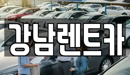 대전광역시 동구 판암동 렌트카 전문 강남렌트카