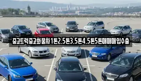 대전광역시 동구 판암동 중고차매입 전문 중고트럭중고화물차1톤2.5톤3.5톤4.5톤5톤매매매입수출