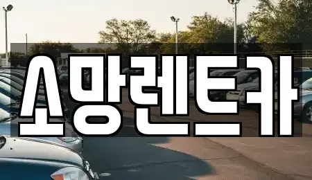 대전광역시 유성구 봉산동 렌트카 전문 소망렌트카