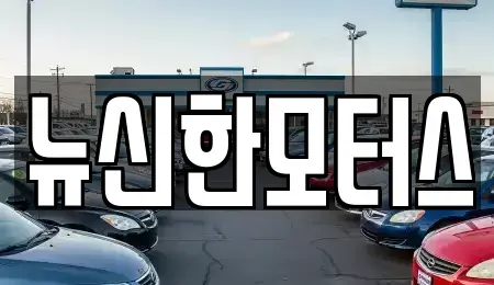 대전광역시 중구 대사동 중고차 전문 뉴신한모터스