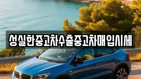 대전광역시 중구 대사동 중고차 전문 성실한중고차수출중고차매입시세