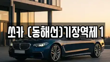 부산광역시 기장군 기장읍 렌트카 전문 쏘카 (동해선)기장역제1