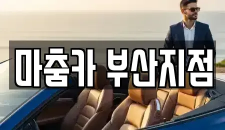 부산광역시 기장군 기장읍 장기렌트카 전문 마춤카 부산지점
