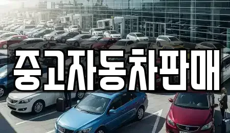 부산광역시 기장군 기장읍 중고차 전문 중고자동차판매