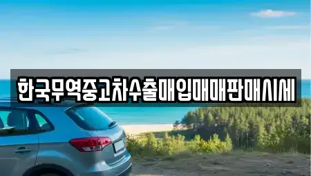 부산광역시 기장군 기장읍 중고차 전문 한국무역중고차수출매입매매판매시세