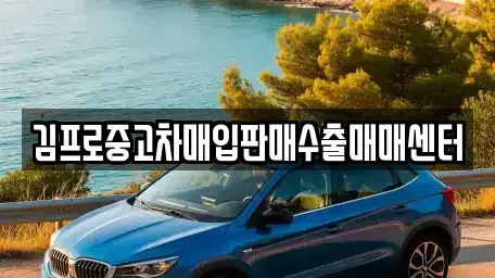 부산광역시 기장군 기장읍 중고차매입 전문 김프로중고차매입판매수출매매센터