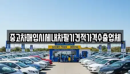 부산광역시 기장군 기장읍 중고차매입 전문 중고차매입시세내차팔기견적가격수출업체