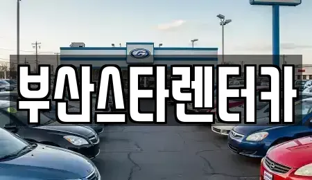 부산광역시 동래구 온천동 렌트카 전문 부산스타렌터카