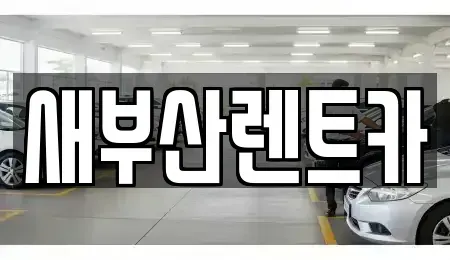 부산광역시 동래구 온천동 렌트카 전문 새부산렌트카