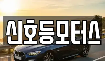 부산광역시 동래구 온천동 중고차 전문 신호등모터스