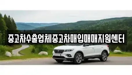 부산광역시 동래구 온천동 중고차 전문 중고차수출업체중고차매입매매지원센터