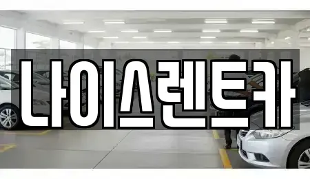 부산광역시 수영구 수영동 렌트카 전문 나이스렌트카