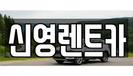 부산광역시 수영구 수영동 렌트카 전문 신영렌트카