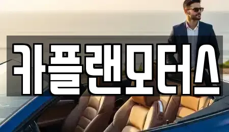 부산광역시 수영구 수영동 장기렌트카 전문 카플랜모터스