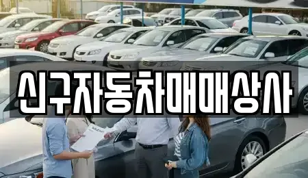 부산광역시 수영구 수영동 중고차매매 전문 신구자동차매매상사
