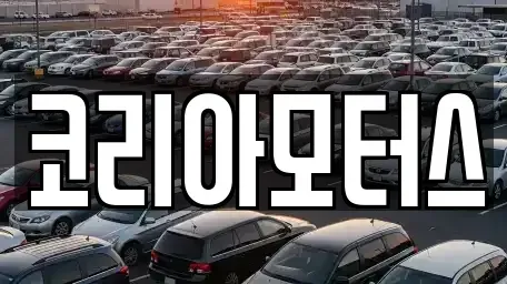 부산광역시 수영구 수영동 중고차매매 전문 코리아모터스