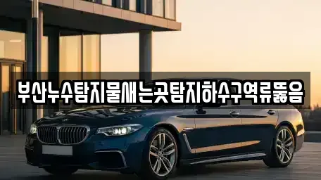 부산광역시 수영구 수영동 중고차매입 전문 부산누수탐지물새는곳탐지하수구역류뚫음