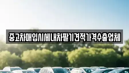 부산광역시 수영구 수영동 중고차매입 전문 중고차매입시세내차팔기견적가격수출업체